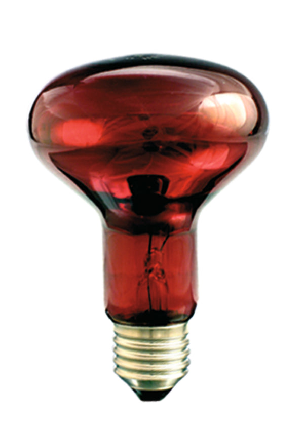Promiennik podczerwieni rubinowy IR1 R80 E27 100W 230V 3000h