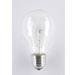 Żarówka wysokotemperaturowa Soleo 60W A55 E27 42V 1000h