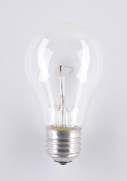 Żarówka wysokotemperaturowa Soleo 100W A55 E27 42V 1000h